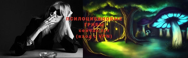 шишки Вязьма