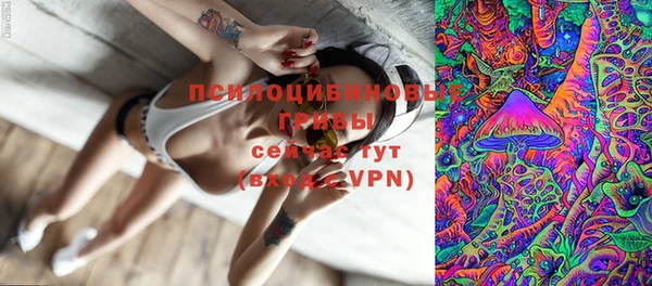 меф Вяземский