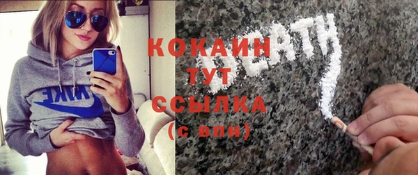 шишки Вязьма