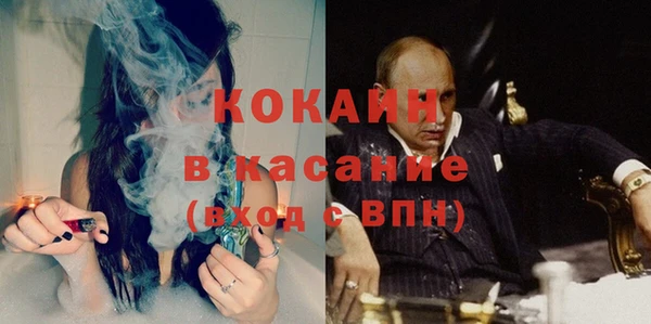 шишки Вязьма