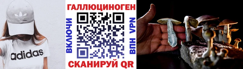 Купить закладки  Чегем  Галлюциногенные грибы ЛСД 